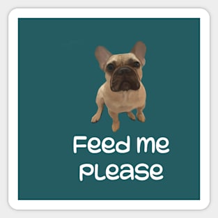 Hungry Frenchie Sticker